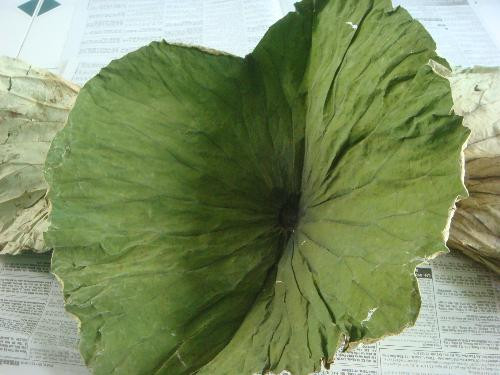 Ảnh minh hoạ: Internet