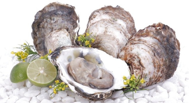 Ảnh minh hoạ: Internet