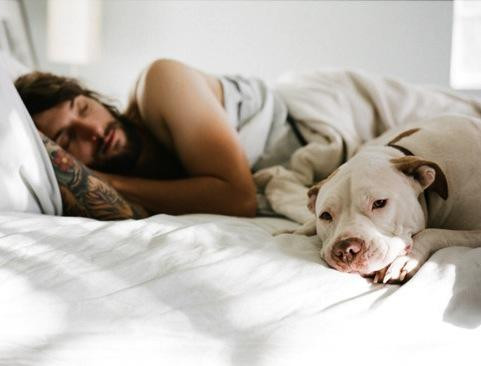 Ảnh minh hoạ: Internet