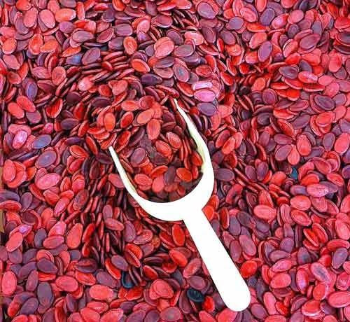 Ảnh minh hoạ: Internet