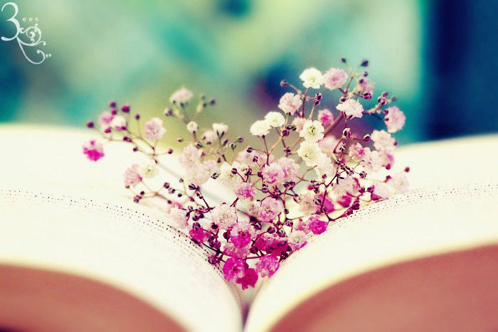 Ảnh minh hoạ: Interne