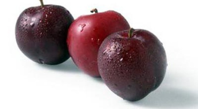 Ảnh minh họa: Internet