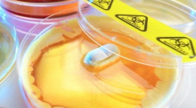 Ảnh minh họa: Internet