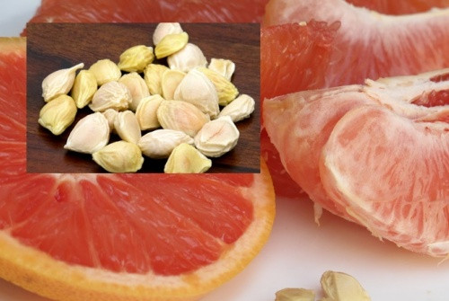 Ảnh minh hoạ: Internet