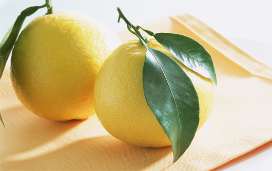 Ảnh minh hoạ: Internet