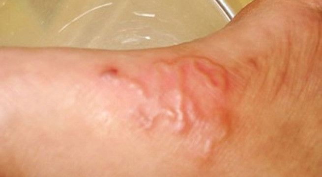 Ảnh minh họa: Internet