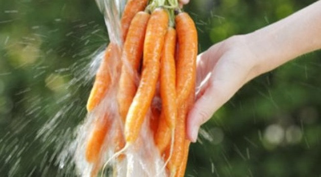 Ảnh minh họa: Internet