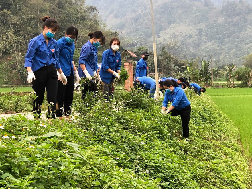 Tuổi trẻ Tuyên Quang thực hiện hàng trăm công trình, phần việc thanh niên