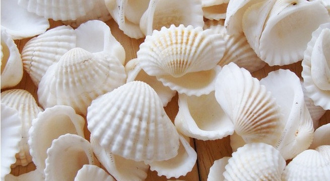 Ảnh minh họa: Internet