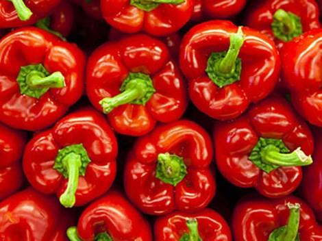 Ảnh minh họa: Internet