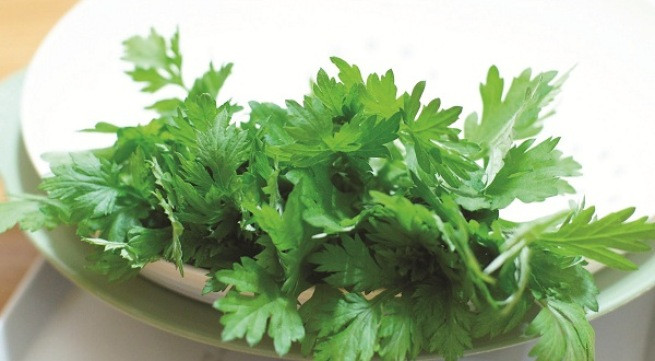 Ảnh minh họa: Internet