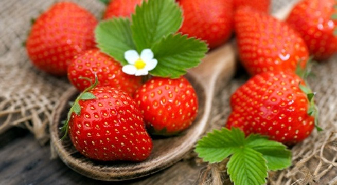 Ảnh minh họa: Internet