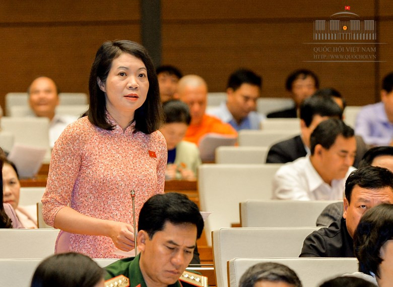 Đại biểu Quốc hội Mai Thị Phương Hoa