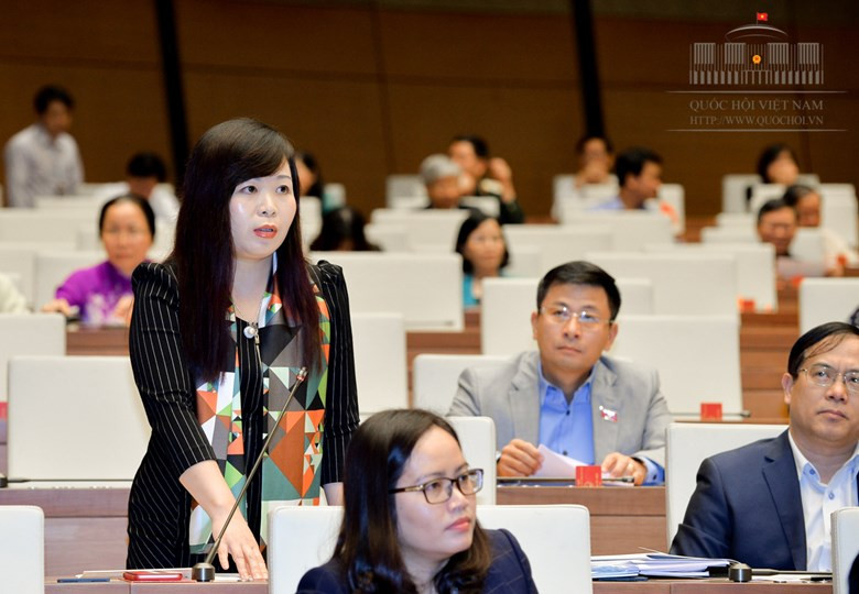 ĐBQH Vũ Thị Lưu Mai, Hà Nội