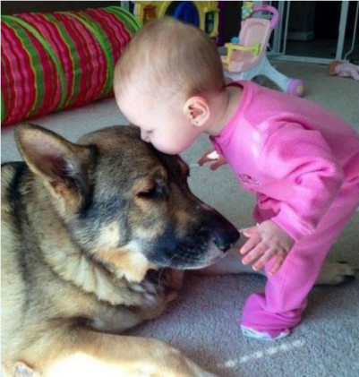 Ảnh minh họa: Internet