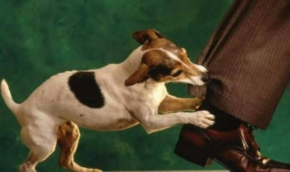 Ảnh minh họa: Internet