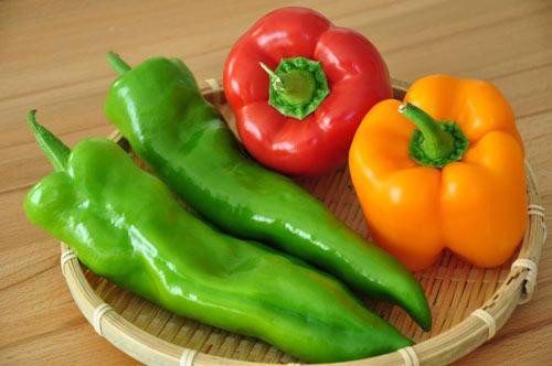 Ảnh minh hoạ: Internet