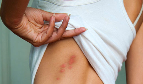 Ảnh minh hoạ: Internet