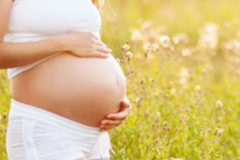 Ảnh minh hoạ: Internet