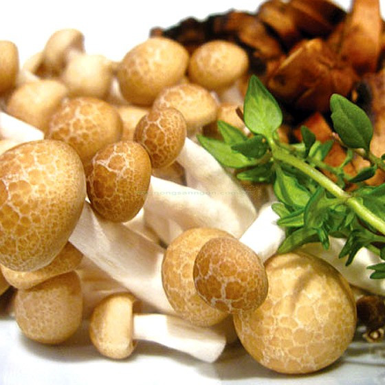 Ảnh minh hoạ: Internet