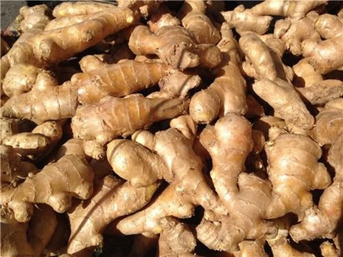 Ảnh minh hoạ: Internet