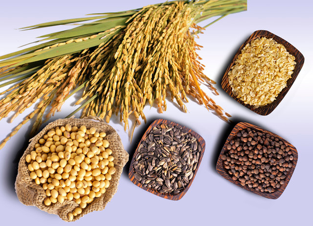 Ảnh minh họa: Internet