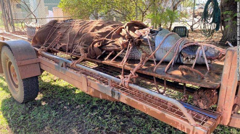 Chú cá sấu nước mặn khổng lồ vừa bị bắt tại Úc.