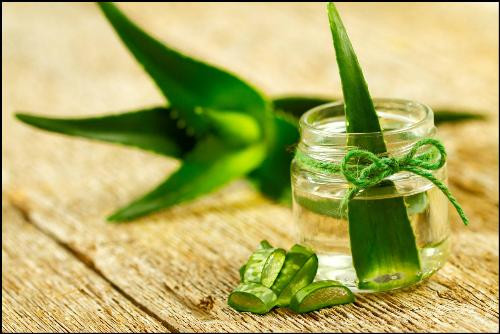 Ảnh minh hoạ: Internet