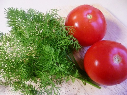 Ảnh minh hoạ: Internet