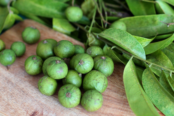 Ảnh minh họa: Internet