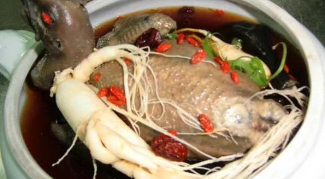 Ảnh minh họa: Internet