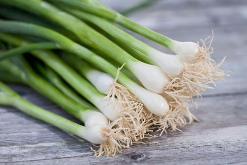 Ảnh minh họa: Internet