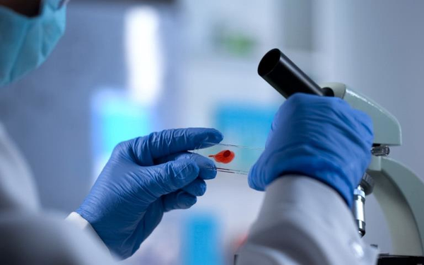 Ảnh minh họa: Internet