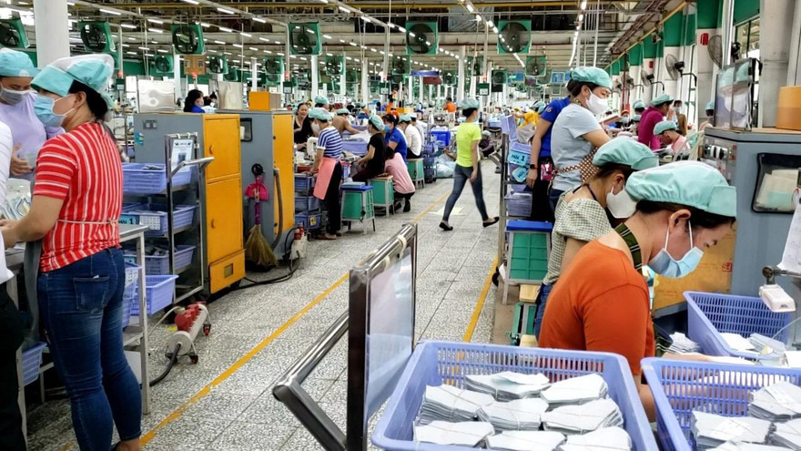  Đầu tháng 9, doanh nghiệp sẽ đưa 15 triệu liều vắc xin Pfizer về Việt Nam 