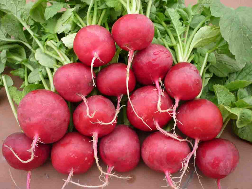 Ảnh minh hoạ: Internet