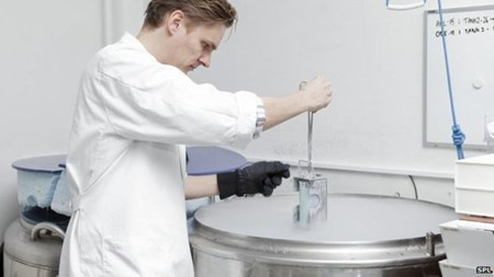 Ảnh minh họa: Internet