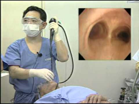 Ảnh minh hoạ: Internet