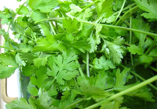 Ảnh minh hoạ: Internet