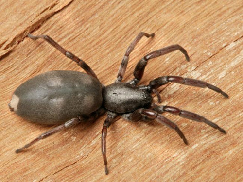 Ảnh minh hoạ: Internet