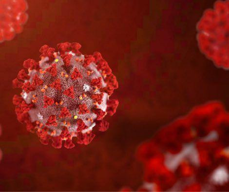 Một hoặc một số biến chủng SARS-CoV-2 siêu lây nhiễm xuất hiện tại Malaysia gần đây.