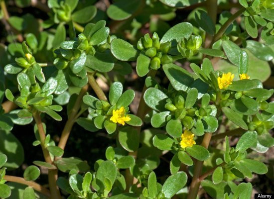 Ảnh minh họa: Internet