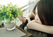 Ảnh minh họa: Internet