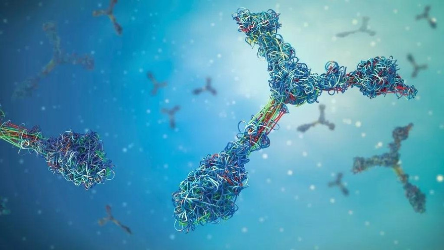 Các tự kháng thể COVID-19 tấn công não người. Ảnh minh họa.