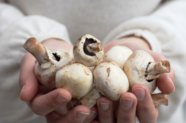 Các nhà khoa học phát hiện ra rằng, ăn nấm nấu chín có thể giảm 50% nguy cơ suy giảm trí nhớ.