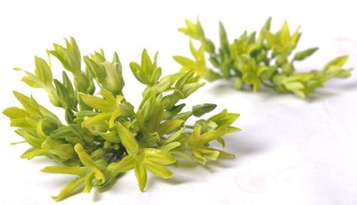 Ảnh minh hoạ: Internet