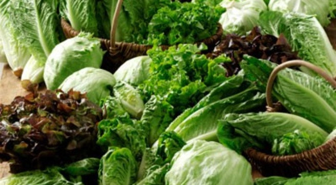 Ảnh minh họa: Internet