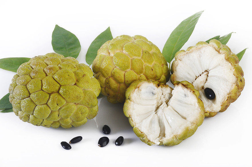 Ảnh minh họa: Internet