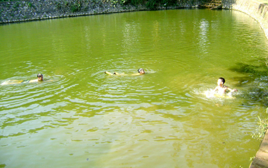 Ảnh minh hoạ: Internet