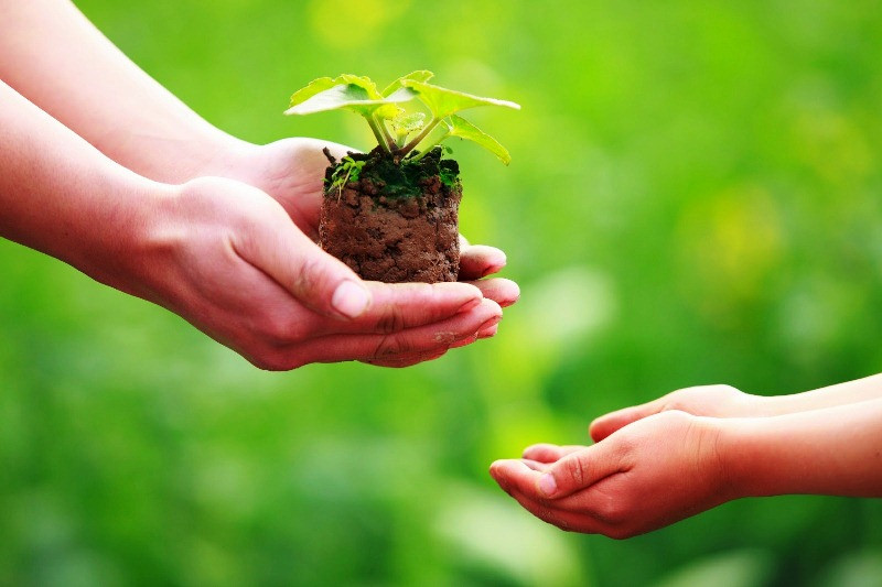 Ảnh minh hoạ: Internet