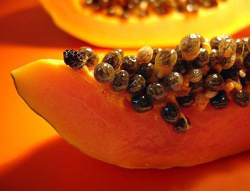 Ảnh minh hoạ: Internet